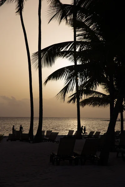 Plage des Caraïbes — Photo