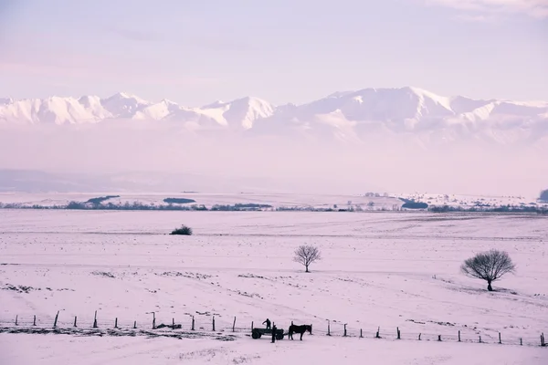 Rumänska Karpaterna täcks av snö — Stockfoto