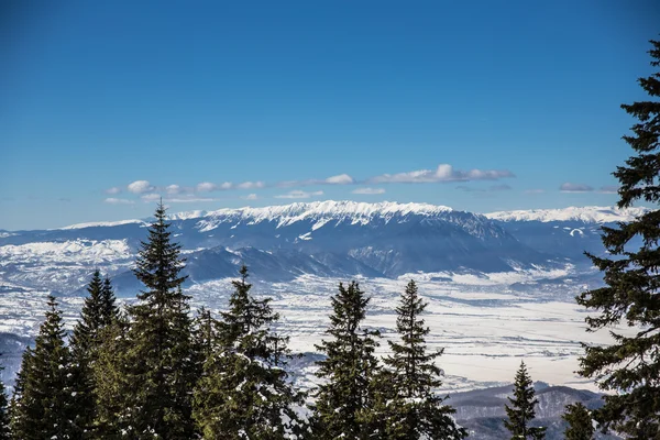 Scène hivernale à Poiana Brasov — Photo