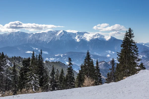 Escena de invierno en Poiana Brasov — Foto de Stock