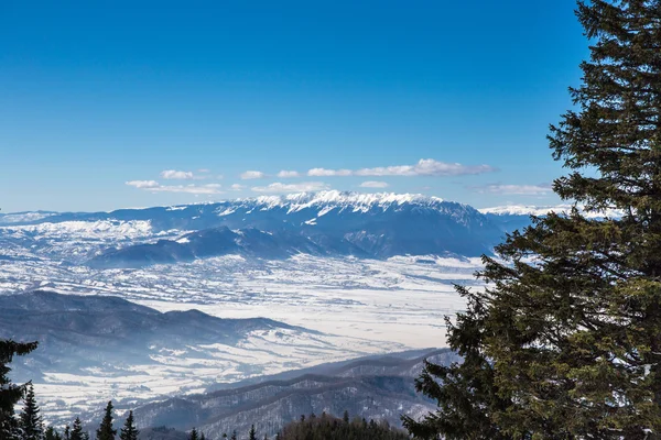 Scène hivernale à Poiana Brasov — Photo