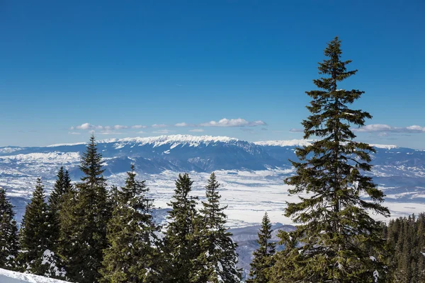 Winters tafereel in Poiana Brasov — Stockfoto