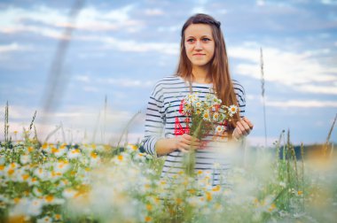 Papatya alan kız. Camomiles bir düşüş.