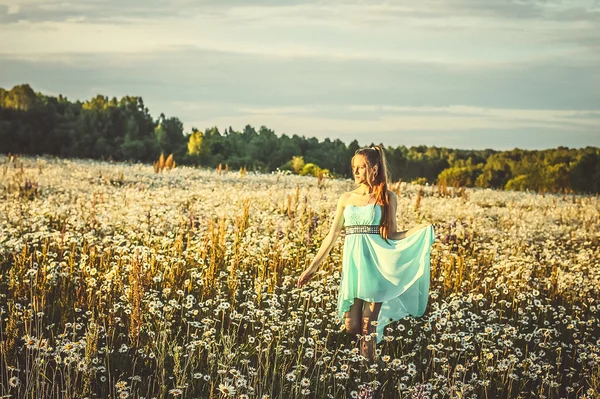 Papatya alan kız. Camomiles bir düşüş. — Stok fotoğraf