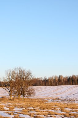 manzara, erken bahar