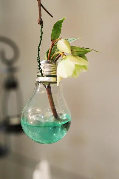 Decorative flowers in a light bulb hanging on a string — Stock Photo, Image