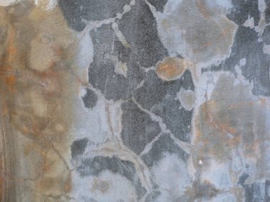 Arka planda lekeler ve küflü beton duvarlar..