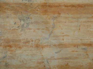 Arka planda lekeler ve küflü beton duvarlar..