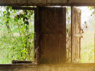 Yeni duvarda bir hata var..