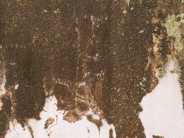 Soyut siyah iç mekan geleceği ön plana çıkarıyor. Mimari arka plan.