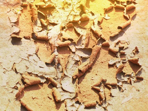 Ground Dry Split Broken — Stock Photo, Image