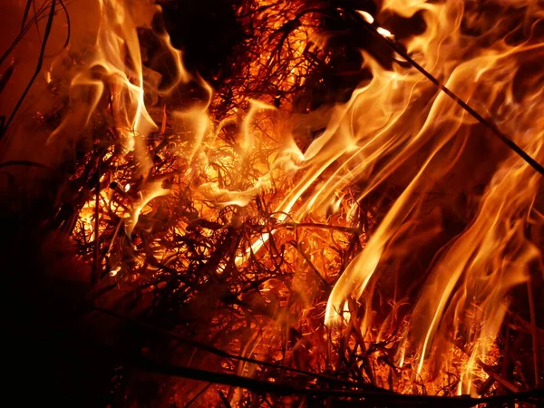 Φωτιά Καίει Άχυρο Ρυζιού Και Σανό Στο Χωράφι Νύχτα — Φωτογραφία Αρχείου