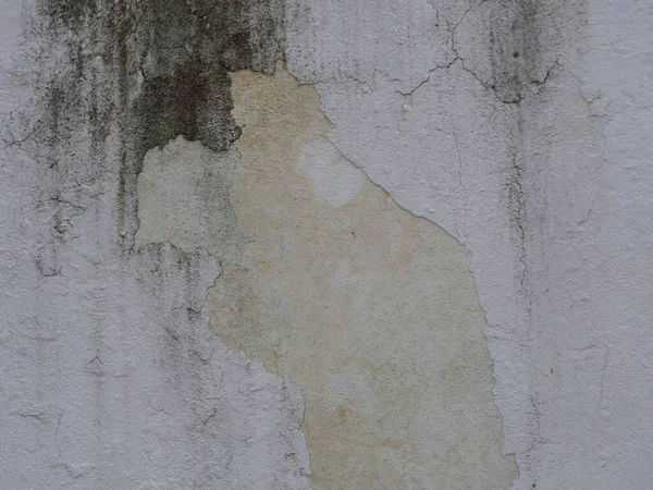 背景に汚れやカビを持つ古いセメントやコンクリートの屋外の壁 — ストック写真
