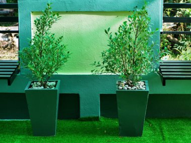 Suni çimenliğe 2 saksı konmuş.