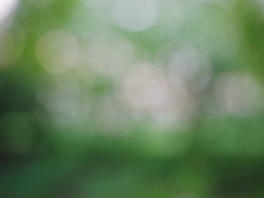 Bokeh Resim Beyaz Arkaplan Yıldız Deseni Arkaplanı