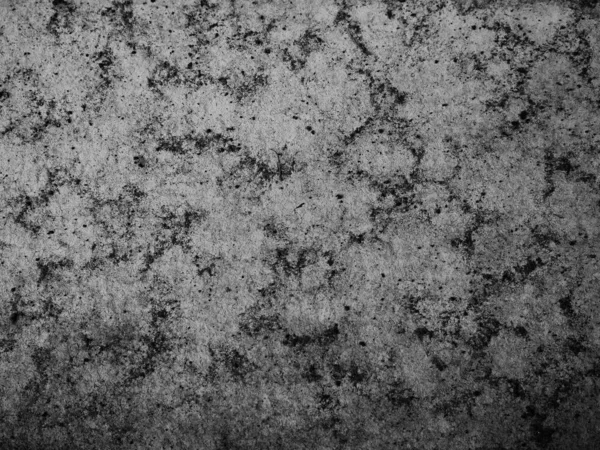 Black and white background image, rough surface, looks like a cement floor.