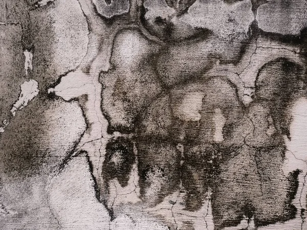 Цементна Підлога Штукатурки Стін Стін Повинна Бути Красивою — стокове фото