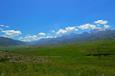 Arka plan üzerinde karlı dağlar yeşil çayır