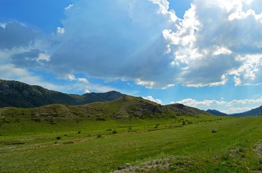 Arka planda dağlar yeşil çayır