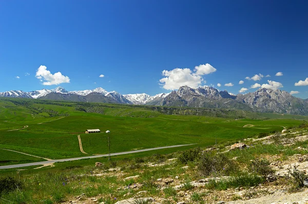 Arka plan üzerinde karlı dağlar yeşil çayır