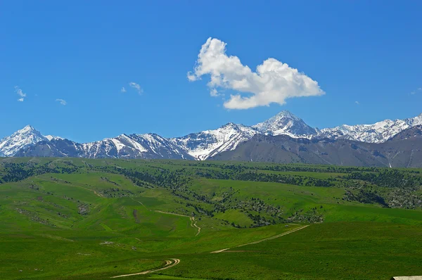 Arka plan üzerinde karlı dağlar yeşil çayır