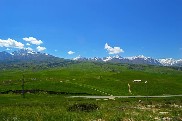 Pradera verde con montañas nevadas en el fondo — Foto de Stock