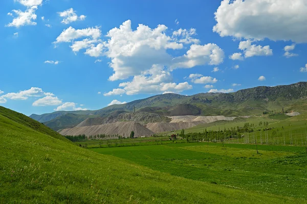 Prairie verte avec des stocks de minerai en arrière-plan — Photo