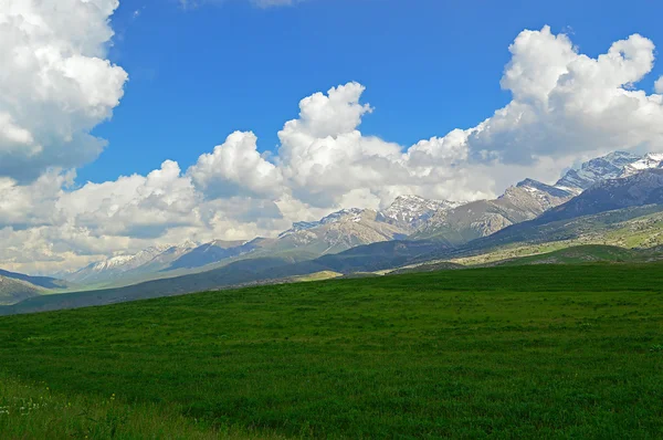 Prairie verte avec des montagnes en arrière-plan — Photo