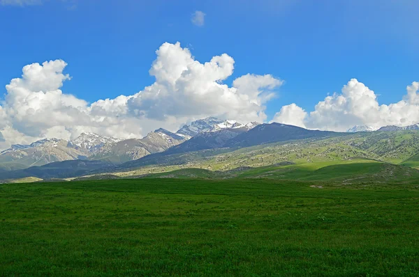 Pradera verde con montañas en el fondo — Foto de Stock