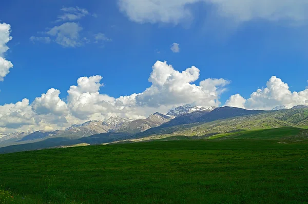 Prado verde com montanhas no fundo — Fotografia de Stock