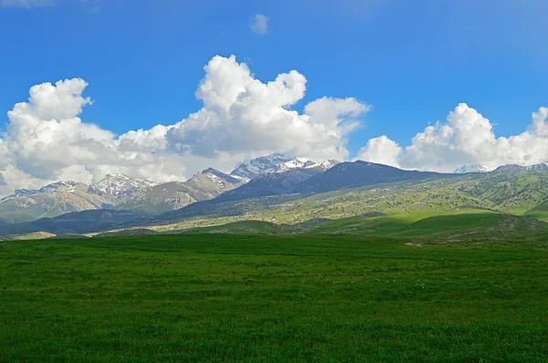 Prado verde com montanhas no fundo Fotografia De Stock