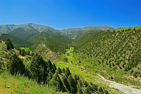 Kullar och berg — Stockfoto