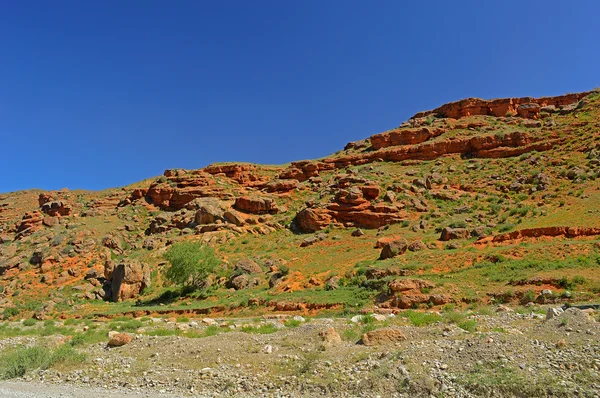 Montanhas rochosas vermelhas perto de Tamasha cidade — Fotografia de Stock