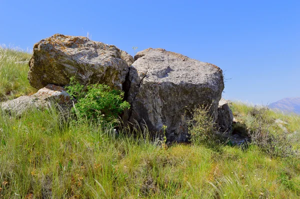 山の中の石 — ストック写真