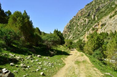Dağlarda yol