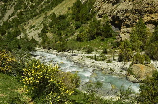 Dağ nehri