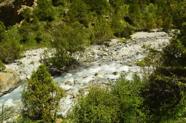 Rivière dans les montagnes — Photo