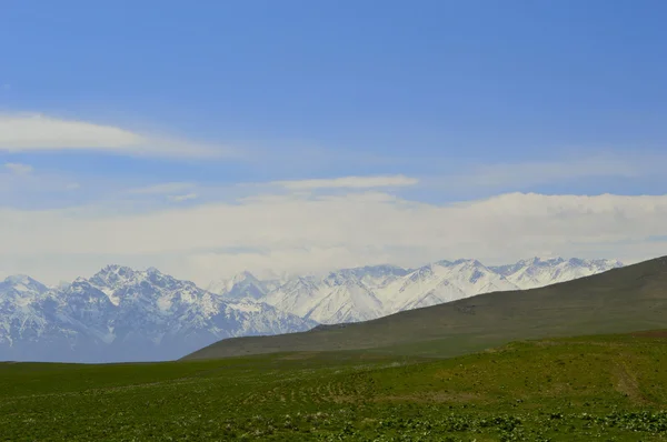 Hügel und Berge — Stockfoto