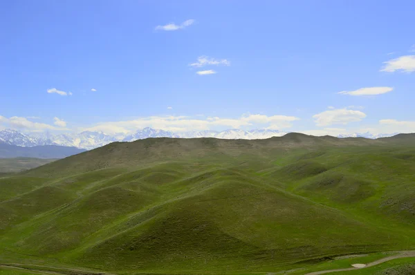 Colline e montagne — Foto Stock