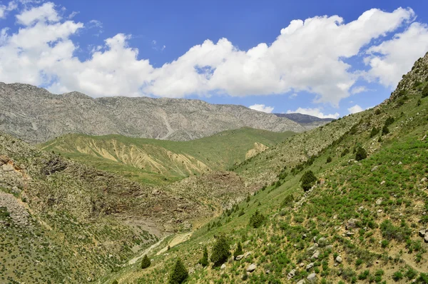 Paesaggio montano — Foto Stock