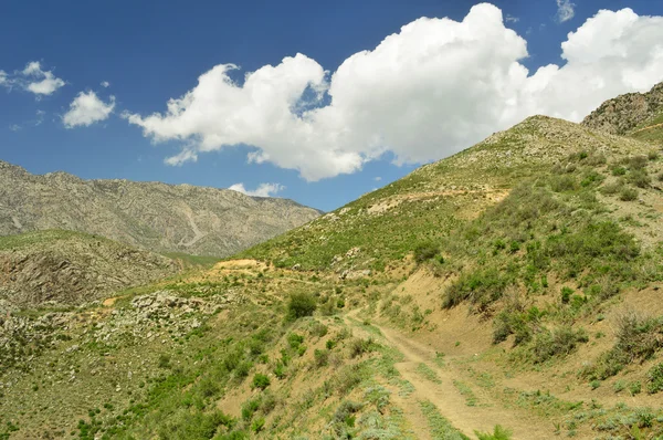 Colline e montagne — Foto Stock