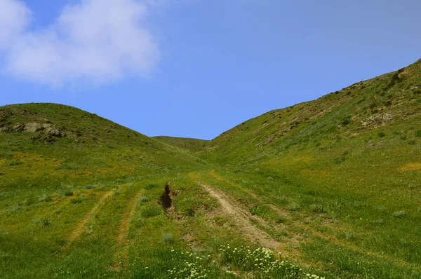 Tepeler ve dağlar — Stok fotoğraf