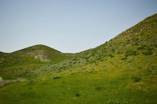 Пагорби і гори — стокове фото