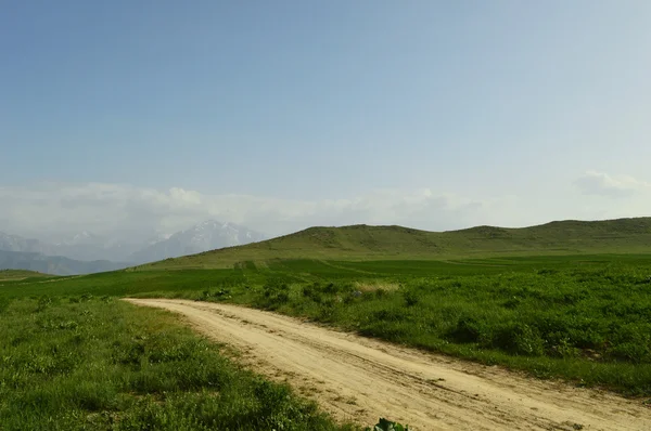 Weg in de bergen — Stockfoto