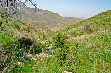 Dağ manzarası, Kırgızistan