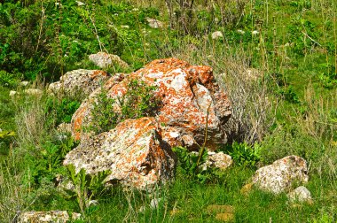 Dağ manzarası, Kırgızistan
