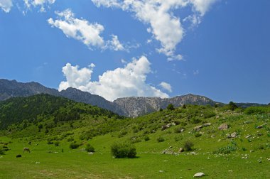 Dağ silsilesi 