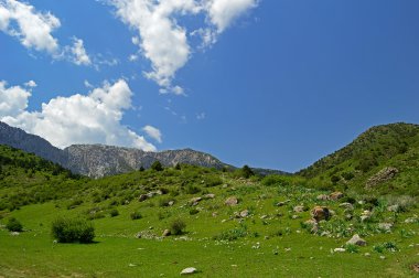 Dağ silsilesi 