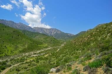 Dağ silsilesi 