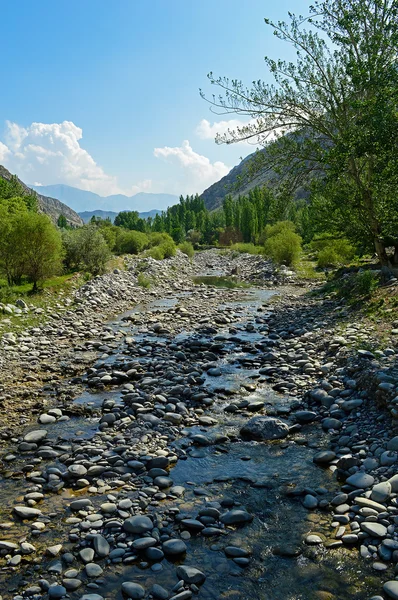 Rivier in de bergen van Kirgizië — Stockfoto